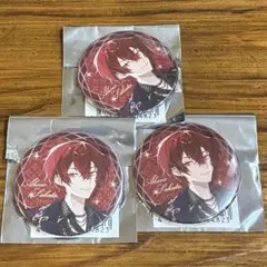 しまさか 2025 缶バッジ あほの坂田 等身 セット