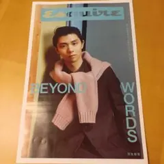 羽生結弦　日経新聞折込 Esquire BEYOND WORDS