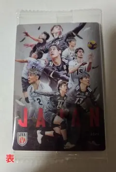 エバデダン ラリー　バレーボール日本代表　集合