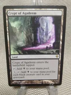 MTG 知恵の蛇の眼/Ophidian Eye [PWシンボル付き再版]英語版 - メルカリ