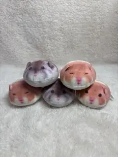 ハムスター ましゅまろはむこっと