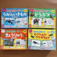 DAISO 知育カード 4種セット まとめ売りのサムネイル
