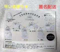 うちの子のけだまだま　７個セット