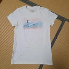 patagonia スリムフィットTシャツ サーフィン　送料込