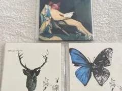 点と線 / 会場限定CD3枚セット