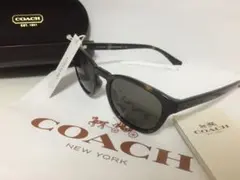 ケース サングラス