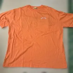 Item thumbnail for item 25399fa9-d6c2-496d-8335-91fde053cf8c