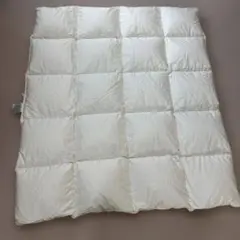ス*ル様 西川羽毛掛け布団　120x140cm ホワイト　キッズ　アレルギー対応のサムネイル