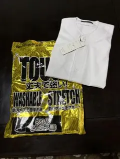 Item thumbnail for item b1e273b2-ef4e-4090-bf6a-7a525e01f059