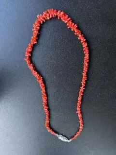 2025年最新】赤珊瑚の人気アイテム - メルカリ