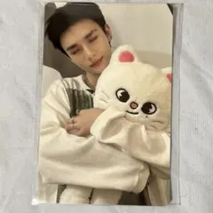 straykids スキズ ヒョンジン 抱きぬいぐるみ ジニレット トレカ straykids スキズ ヒョンジン 抱きぬいぐるみ ジニレット トレカ