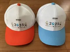 Item thumbnail for item bb0314c2-4871-46b8-9344-5978109eb281