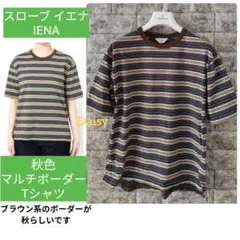 スローブ イエナ IENA✨マルチ ボーダーTシャツ ブラウン茶色/半袖Tシャツ