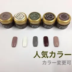 カラージェル 人気カラー② カラージェル ジェルネイル まとめ売り