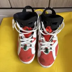 AIR JORDAN 6 ゲータレード