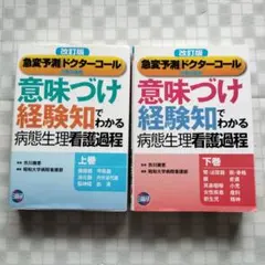 2026年最新】意味づけ_経験知_でわかる病態生理看護過程_下巻の人気