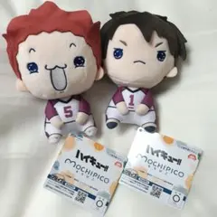 ラスト1セット‼️　ハイキュー　もちぴこぬいぐるみ　牛島若利　天童覚