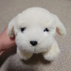 ぬいぐるみ