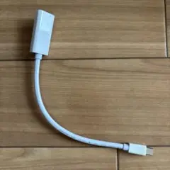 Apple用 DisplayPortケーブルE301195のサムネイル