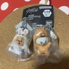 【skzoo】つまんでつなげてますこっと2