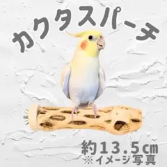 鳥用品 止まり木 カクタス スケルトン パーチ 小さめ No.723 - メルカリ