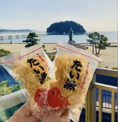 【復刻版・特別企画】蒲郡の老舗　一色屋大漁えびせん2袋　新品のサムネイル