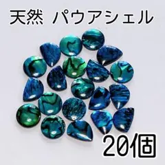 【人気】天然シェル　パウアシェル　アバロンシェル アソートセット