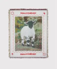 【美品】MaisonSTRAYSHEEP RUG
