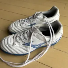 Item thumbnail for item cd8066ae-2bcb-4ac7-9ad3-da70738b230b