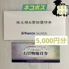 ヤマダ電気　株主優待券　5000円分
