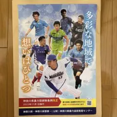 東レアローズ 下敷き グッズ 新品 - メルカリ