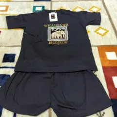 Item thumbnail for item b8179891-f795-430f-b619-329a3c9dba05