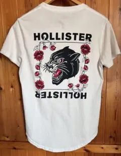 半袖Tシャツ　ホリスター