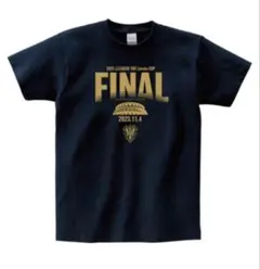 アビスパ福岡 GK選手実使用 プラクティスシャツ長袖 フルスポンサー入り アビスパ福岡 GK選手実使用 プラクティスシャツ長袖 フルスポンサー入り