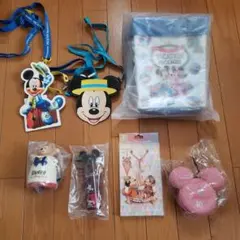 ディズニー バケーションパッケージアイテムセット③