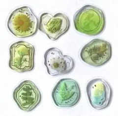 Item thumbnail for item 5eaa3c97-ef14-456b-a751-5ac4da24ed84