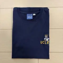 美品 UCLA カレッジロゴ 半袖Tシャツ M ネイビー ジョー・ブリュイン刺繍のサムネイル