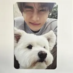 ZEROBASEONE ZB1 ゼベワン ジャンハオ デジパ レオ トレカ