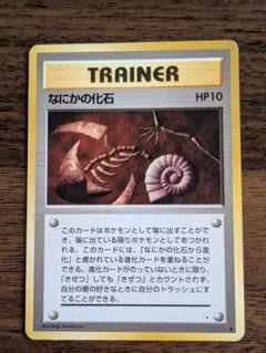 2025年最新】なにかの化石の人気アイテム - メルカリ