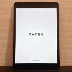 Apple iPad mini3 64GB wi-fiモデル 100% 第3世代