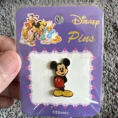 東京ディズニーリゾート チェシャ猫 ピンバッジ ピンコレクション 未