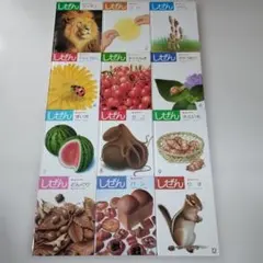 キンダーブック しぜん 【2016年度】12冊セット - メルカリ