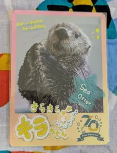 最安値‼️鳥羽水族館　 コレクションカード　レア　ラッコ　キラ　70周年記念 鳥羽水族館 コレクションカード 70周年記念 レアカード ラッコ