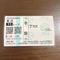 現地購入単勝馬券　アドマイヤベガ　ラミネート加工済み 現地購入単勝馬券 アドマイヤベガ ラミネート加工済み 現地購入