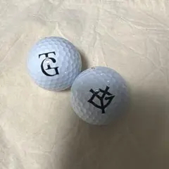 타이틀리스트 PRO V1 読売ジャイアンツ 巨人 ロゴ入り ゴルフボール 2球