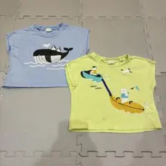 ベビー 70 Tシャツ 2セット