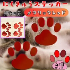 肉球 ステッカー 赤 4枚 足跡　3D 車 シール 犬 猫 立体 カーステッカー