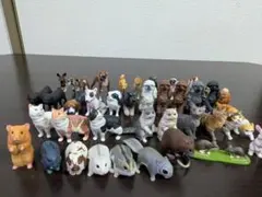 動物ミニチュアフィギュアセット