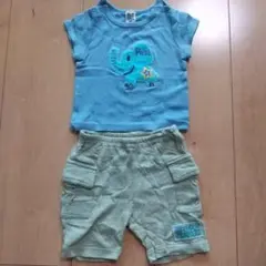 KP上下セット ゾウ柄 Tシャツ ハーフパンツ 70のサムネイル