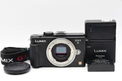 2026年最新】Panasonic DMC-GX1の人気アイテム - メルカリ